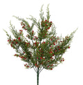 21"L Red Oregon Juniper/Berry Bush