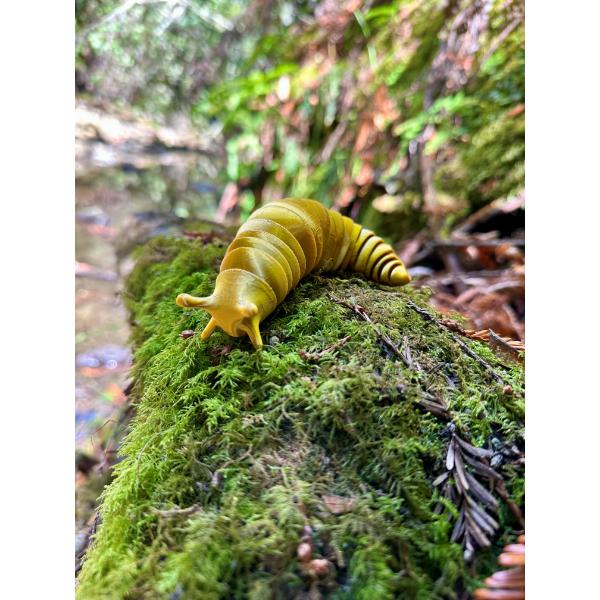 3D Printed Banana Slug Fidget