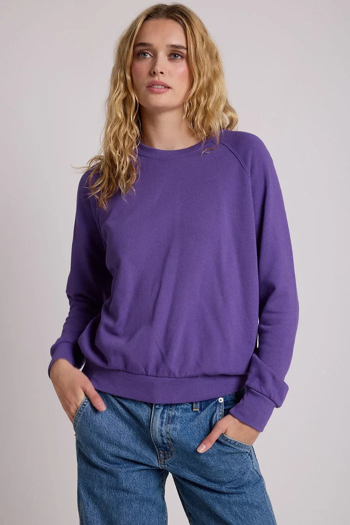 xs / purple