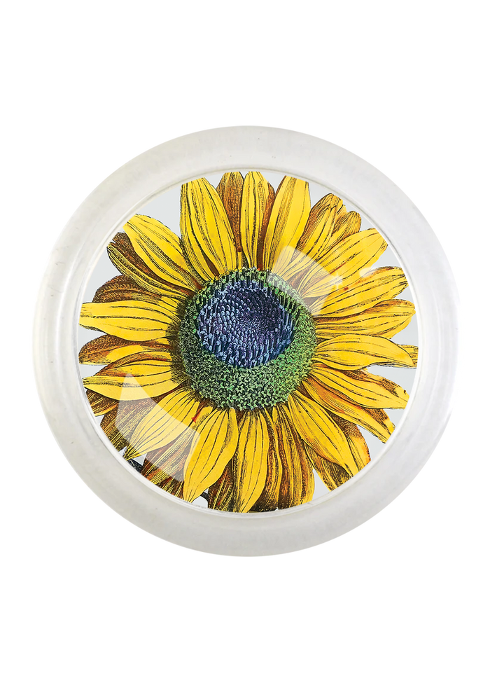 Amagansett Sunflower 4" Round Glass Coaster - Ben's Garden