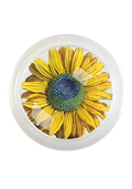 Amagansett Sunflower 4" Round Glass Coaster - Ben's Garden