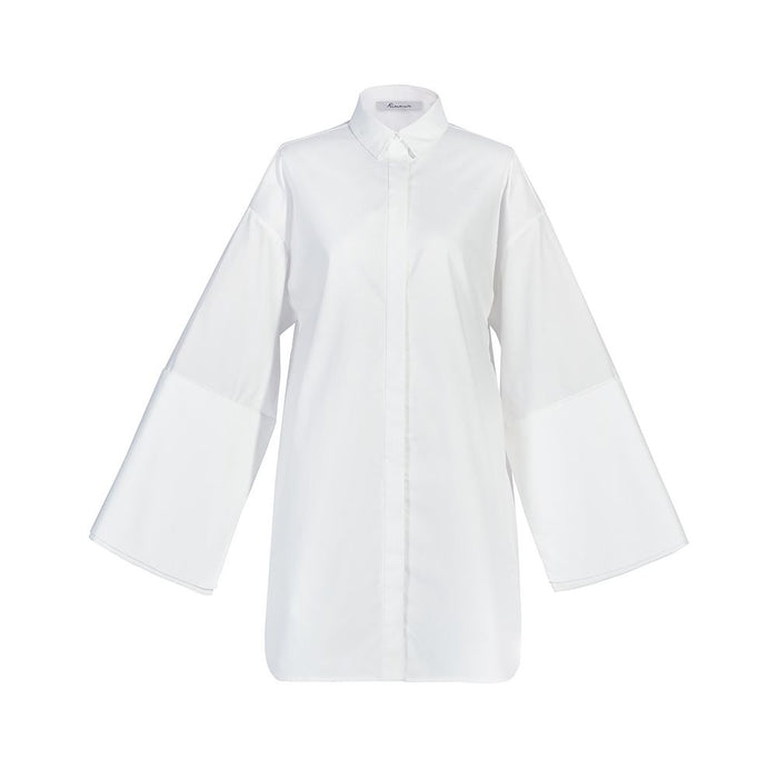 AEL Original New Shirt Women s Design Sense Niche Dress Loose Long Shirt Autumn 2025 New Style image 3