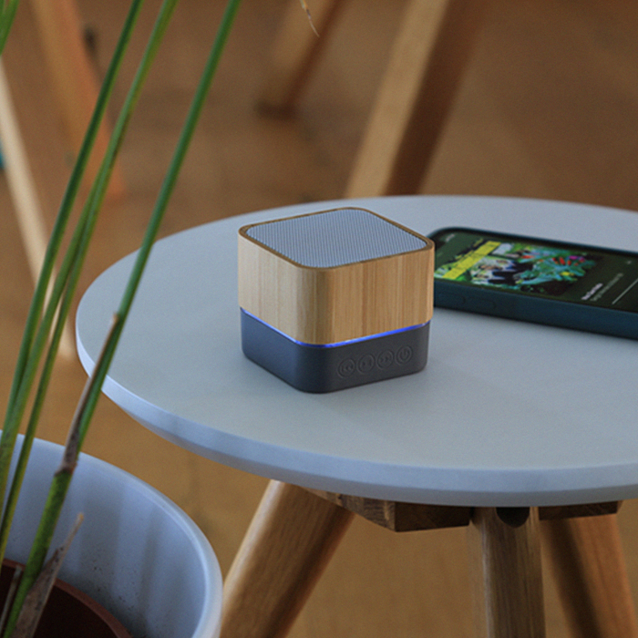 Bamboo Portable Speaker (PS05)