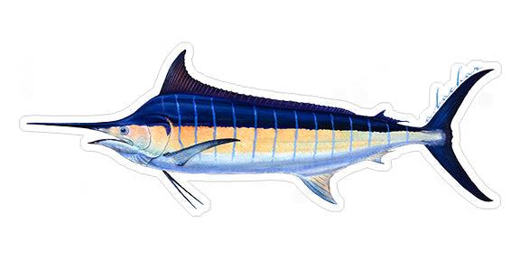Blue Marlin - 9"