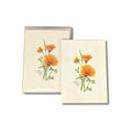 Boxed Set of California Poppy Notecards