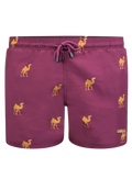 Camel Kids