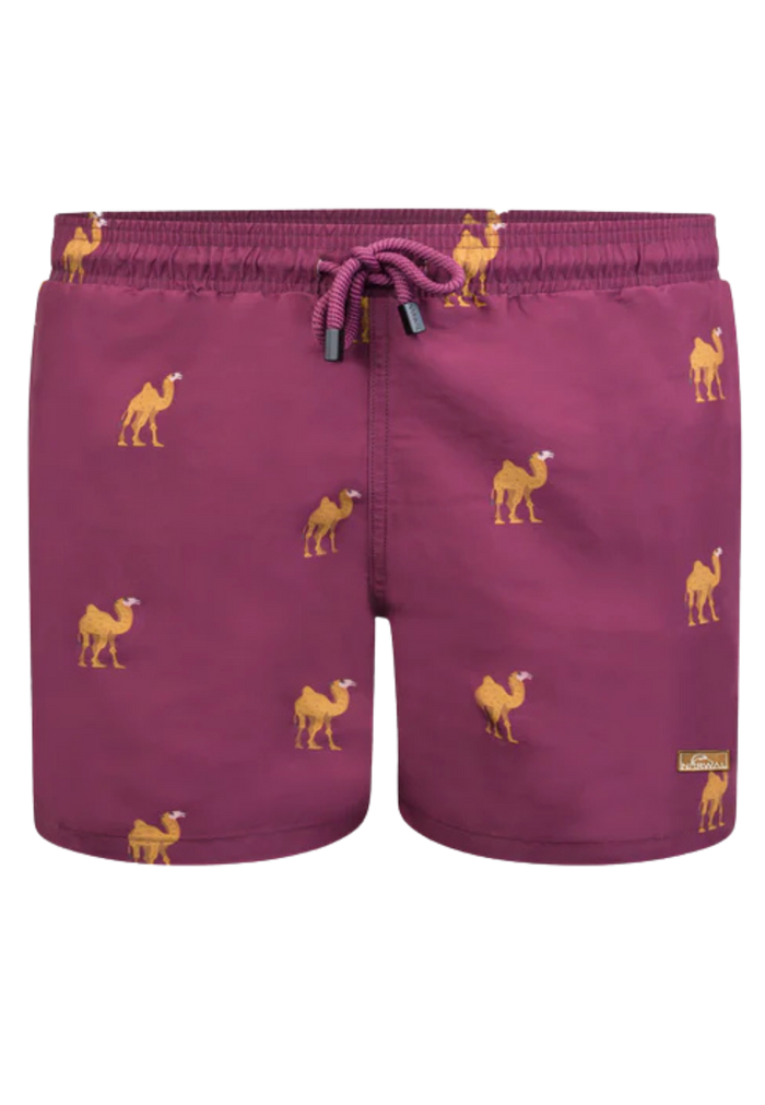 Camel Kids