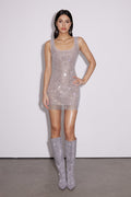 Caomh Rhinestone Mesh Mini Dress In Sliver