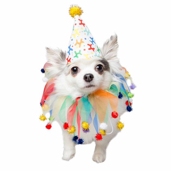 Celebration/Birthday Hat & Collar Set for Cats