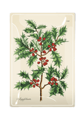 Christmas Wild Holly Decoupage Glass Tray - Ben's Garden