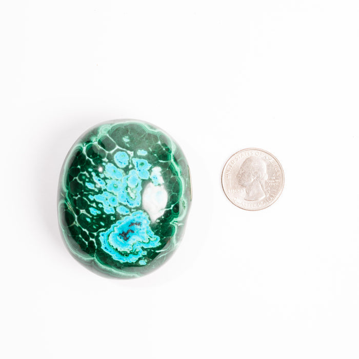 Chrysocolla w/ Malachite - Polished