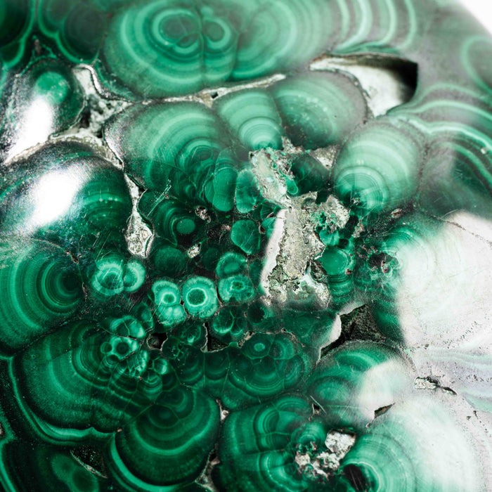 Chrysocolla w/ Malachite - Polished