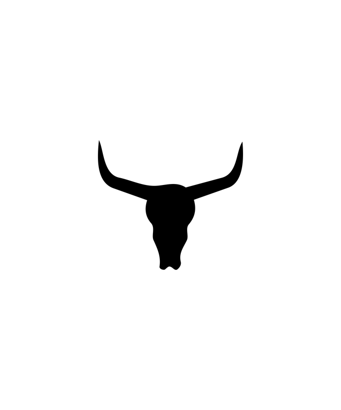 1 / Longhorn Skull