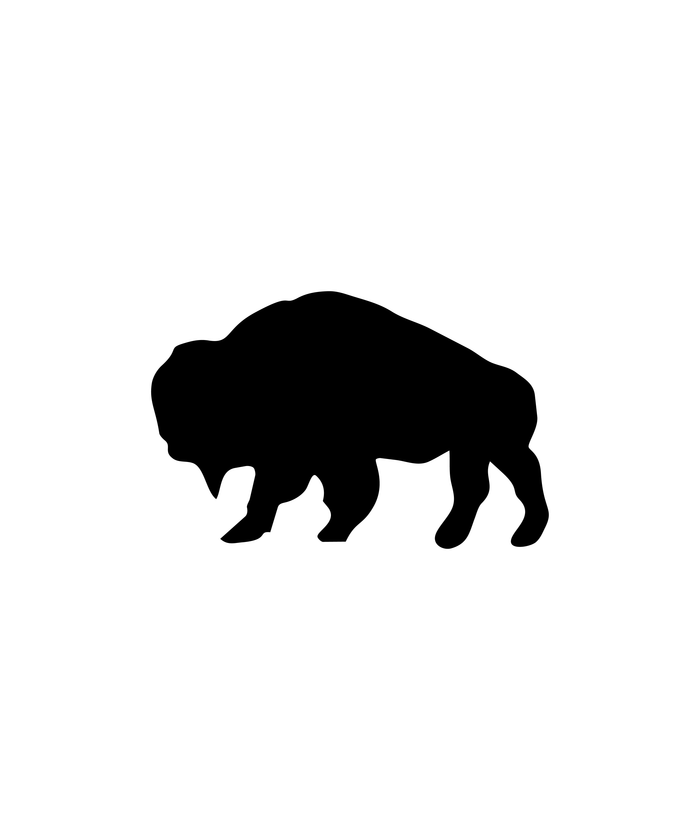 1 / Bison