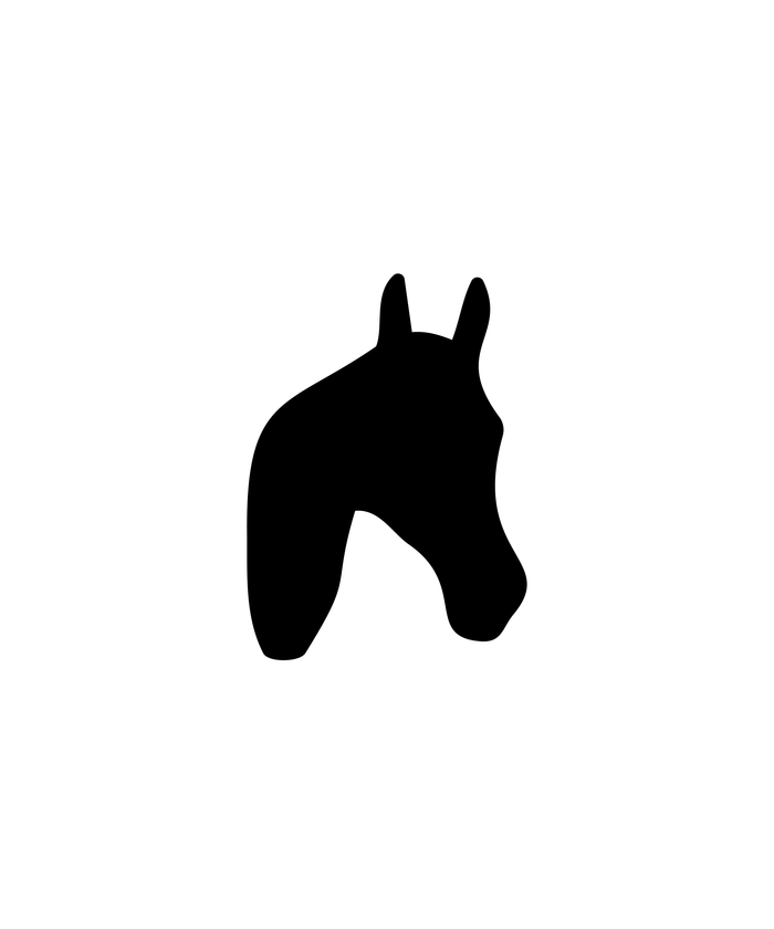 1 / Horse Head
