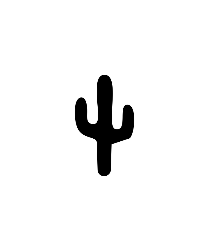 4 / Cactus