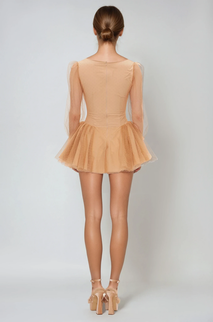 Danyal Flower Balloon Sleeve Mesh Mini Dress