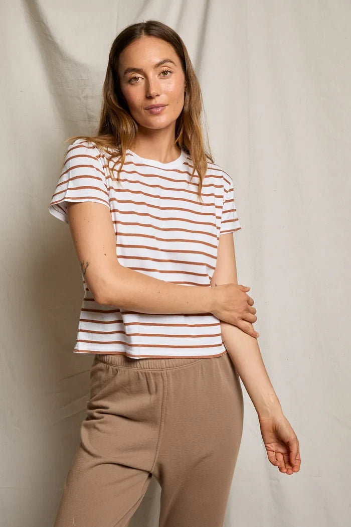 xs / mocha stripe