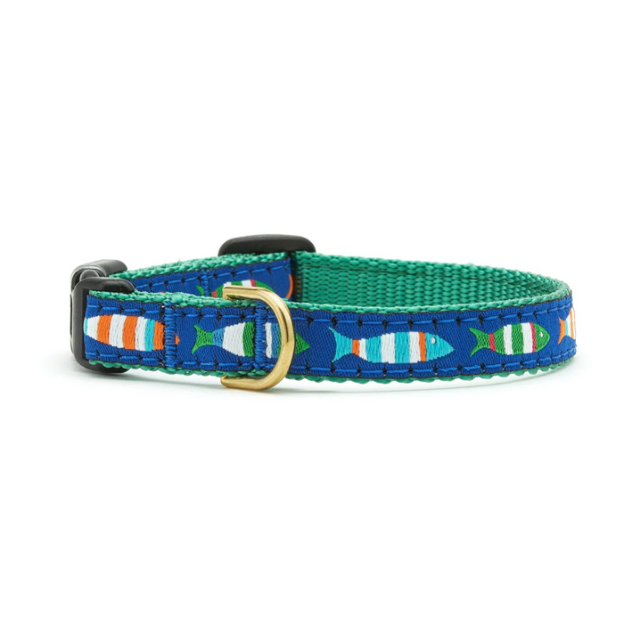 Funky Fish Cat Collar