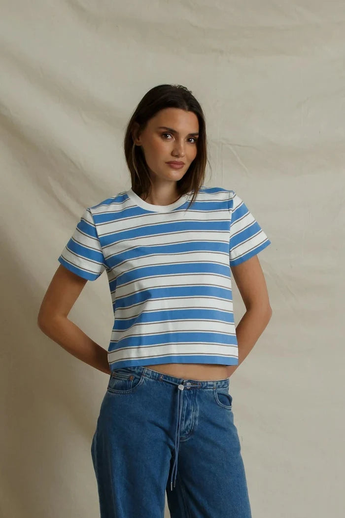 pacific_blue_stripe
