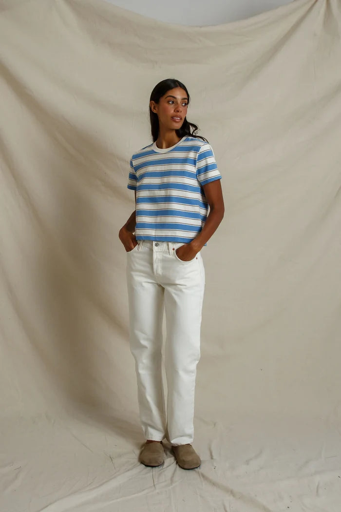 pacific_blue_stripe