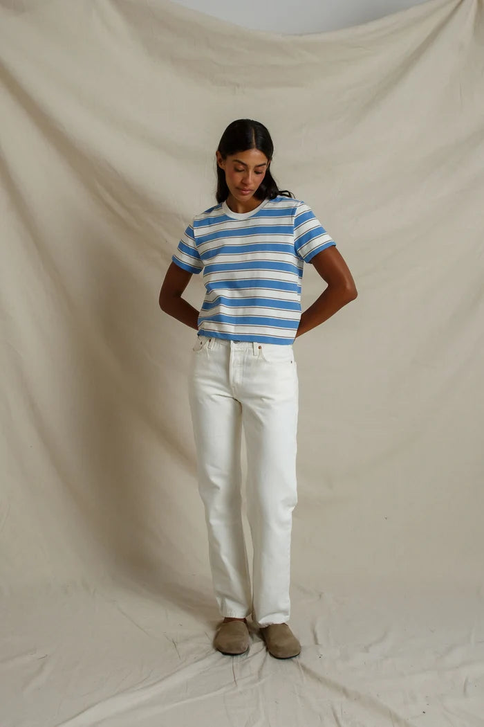 pacific_blue_stripe