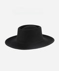 A black gambler hat on a plain background #color_black