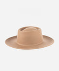 A brown gambler hat on a plain background #color_brown