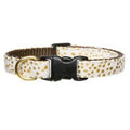 Gold Dot Cat Collar - Mayor of Glitterland