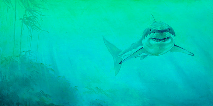 Great White Shark Lurking