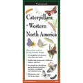 Laminated Guide to Caterpillars of Western North America
