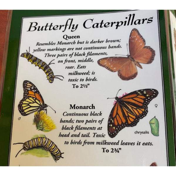 Laminated Guide to Caterpillars of Western North America