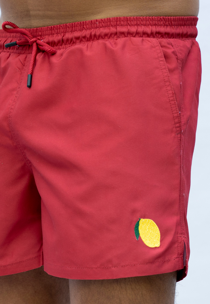 Lemon Plain Father & Son Swim Trunks