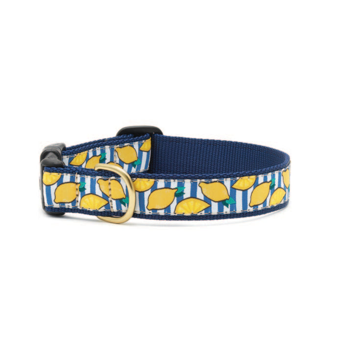 Make Lemonade Dog Collar Small Breed