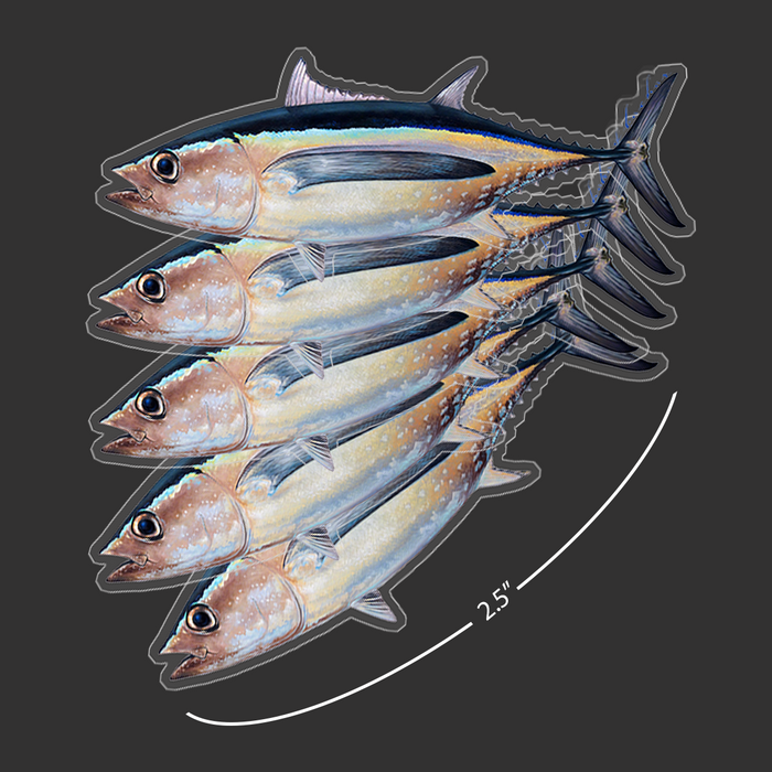 Mini Albacore Tuna Stickers (Pack of 5)