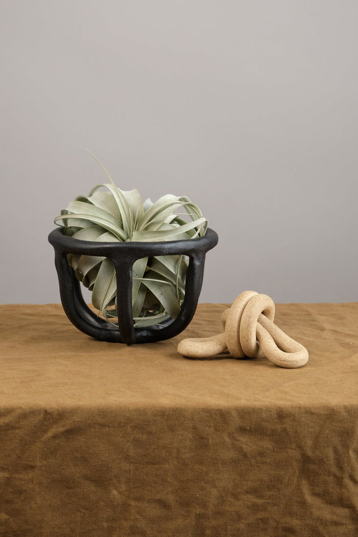Virginia Sin Home Kitchen Containers Moth Fruit Bowl