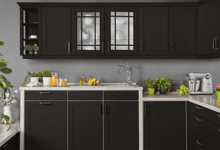 Retique It Multi-purpose Wood'n Kit (Med) in Classic Black for interior cabinets, featuring wood finish and top coat application.