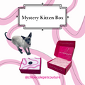 Mystery Kitten Box - full of cat toys - limited supply