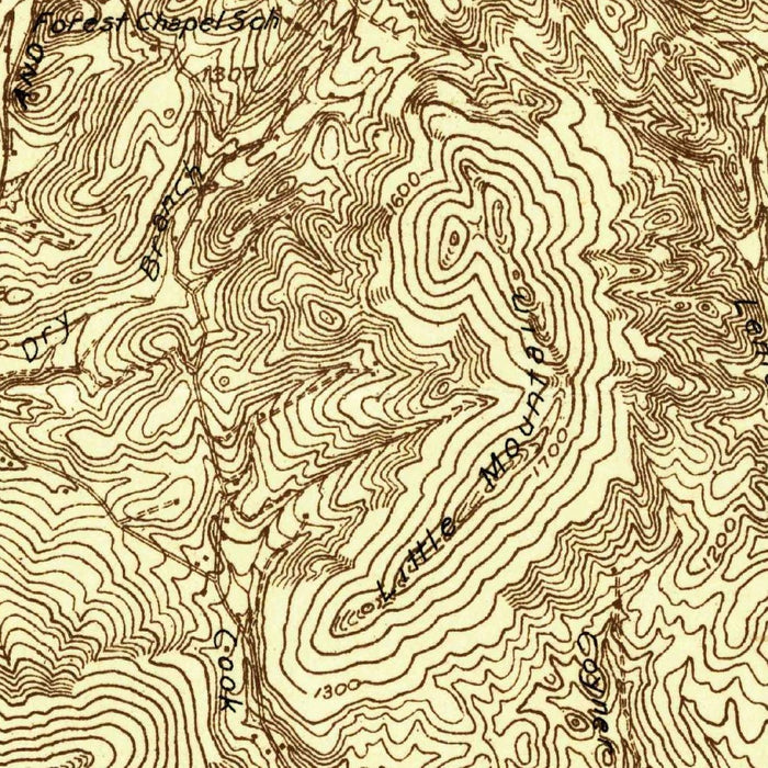 Old Map of Roanoke, Virginia by USGS, 1929 – Mill Mountain & Roanoke River