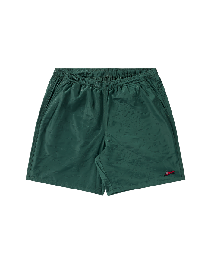 Popsicle Nylon Shorts