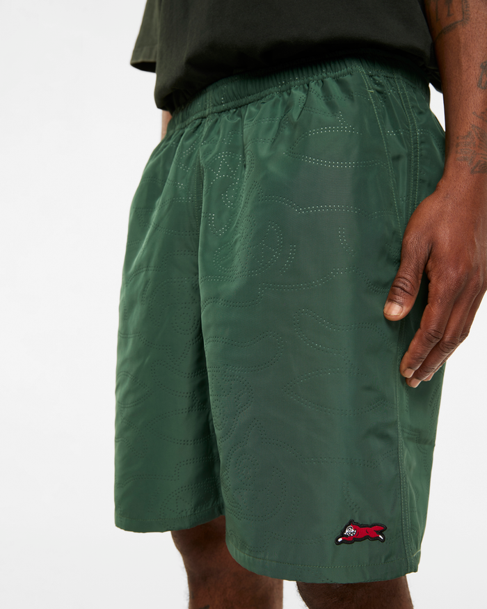 Popsicle Nylon Shorts