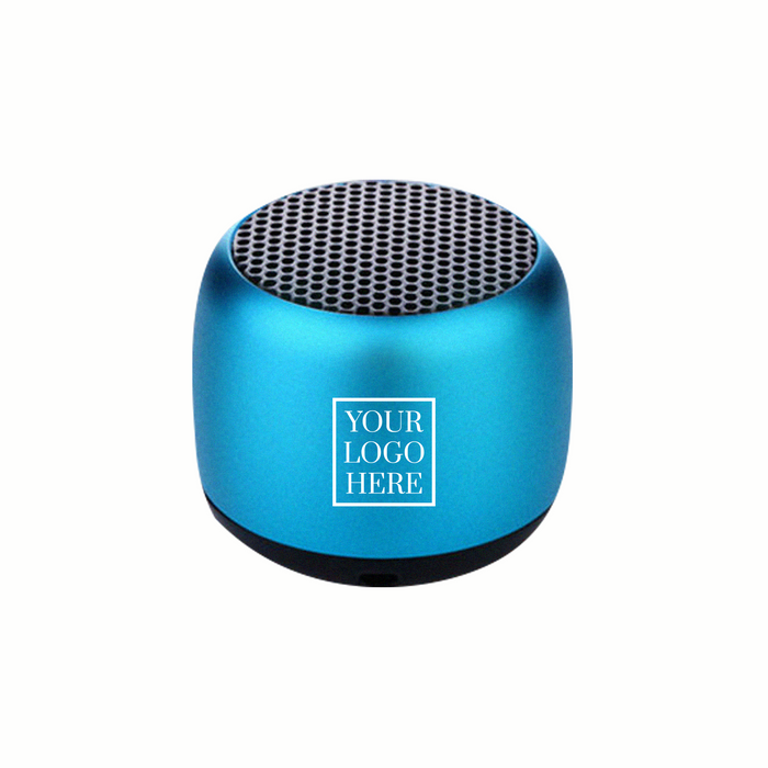 Portable Speaker (PS01)