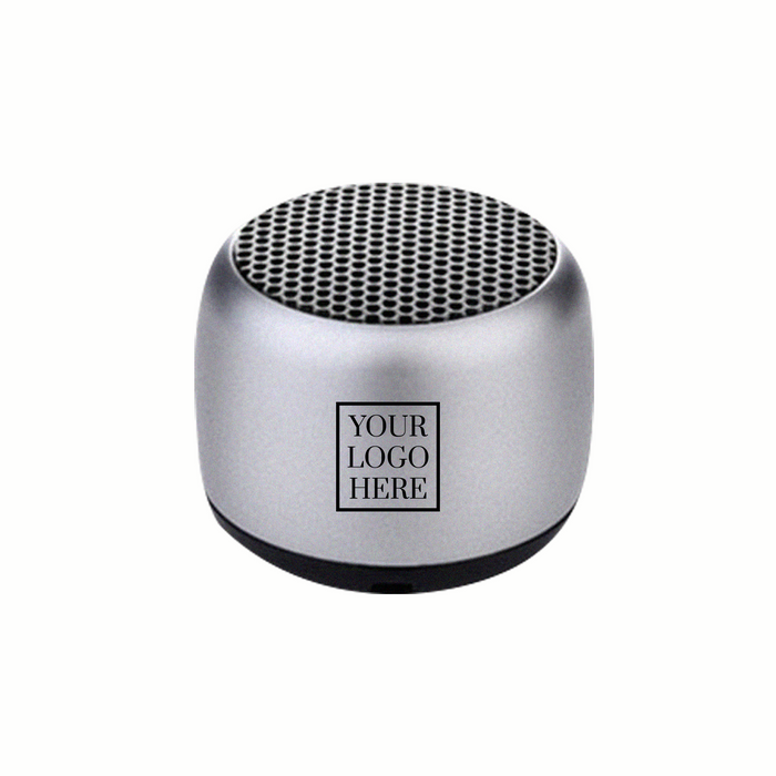 Portable Speaker (PS01)