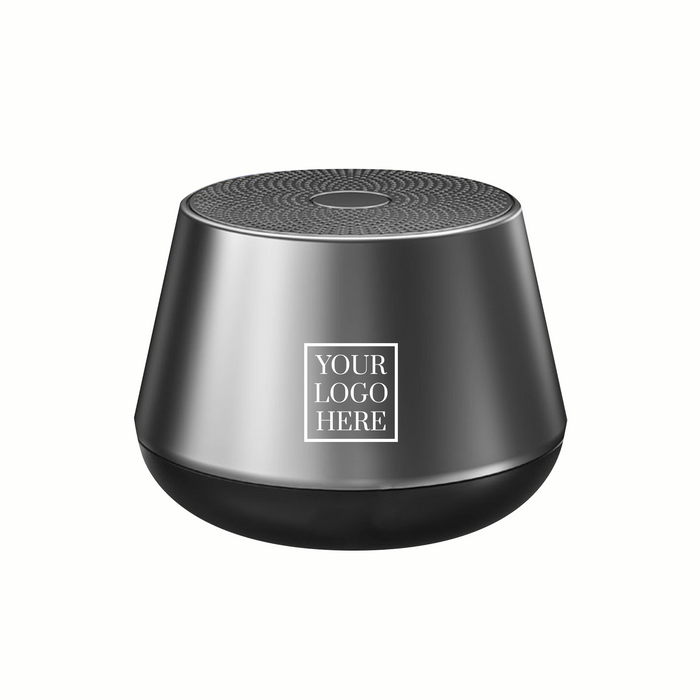 Portable Speaker (PS04)