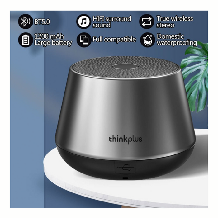 Portable Speaker (PS04)