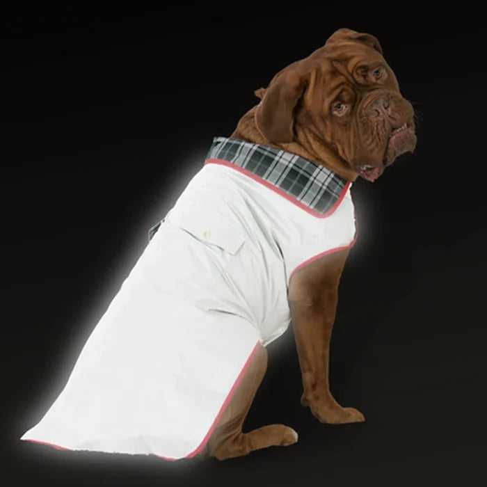 Reflective Gray Dog Coat