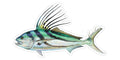 Roosterfish - 6.75"