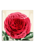Rose Flower With Green Stem Decoupage Glass Tray - Ben's Garden