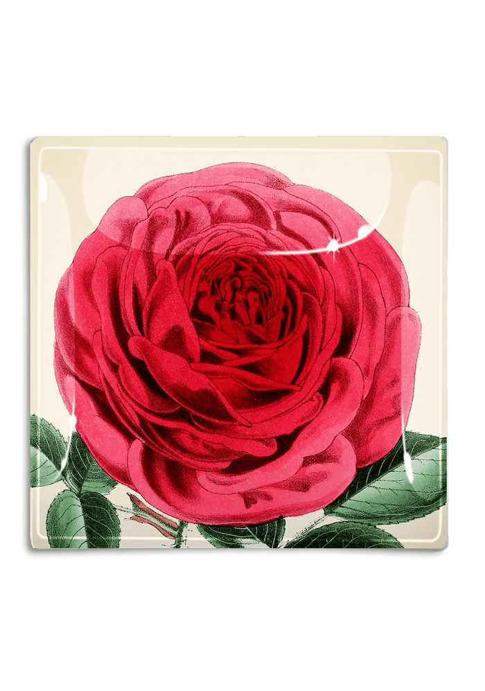 Rose Flower With Green Stem Decoupage Glass Tray - Ben's Garden