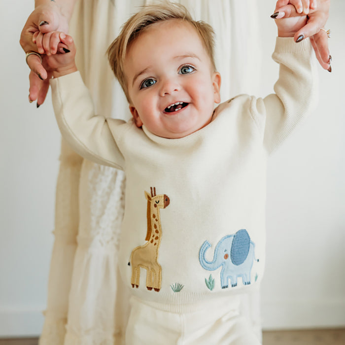 Safari Applique Sweater Knit Baby Pullover (Organic Cotton)